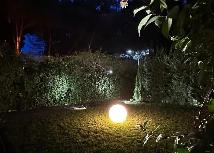 Deluxe Garden At Marea Apartman *