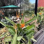 Deluxe Garden At Marea 골렘