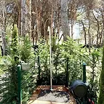 Deluxe Garden At Marea 아파트