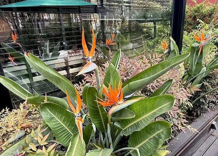 Deluxe Garden At Marea Golem (Tirana)